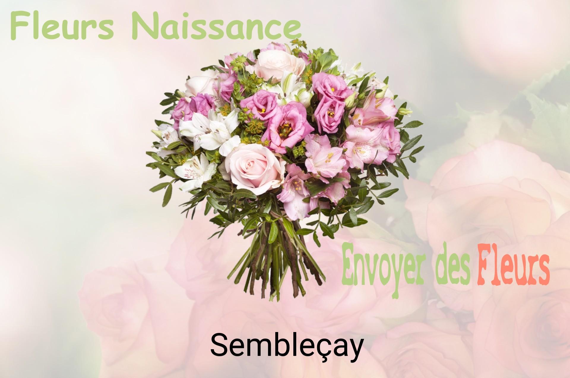 Bouquet de fleurs de naissance livré à Sembleçay